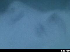 诱人的莎朗·斯通在1993年的银色屏幕中出现